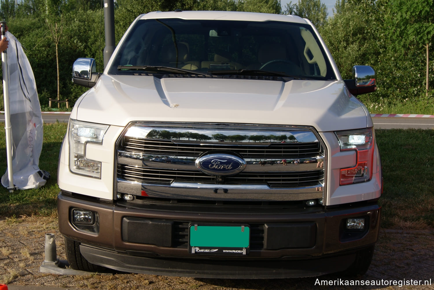 Ford F Series uit 2015